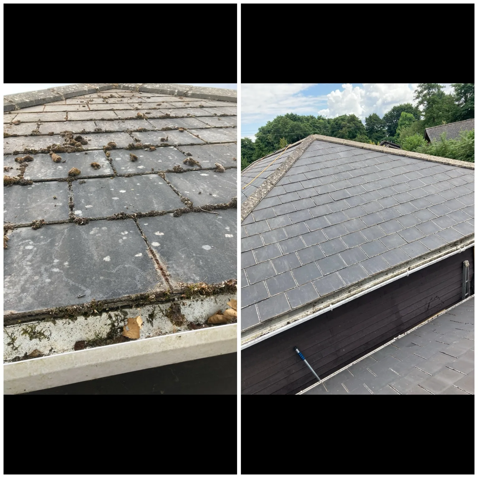 Roof cleaning before and after
